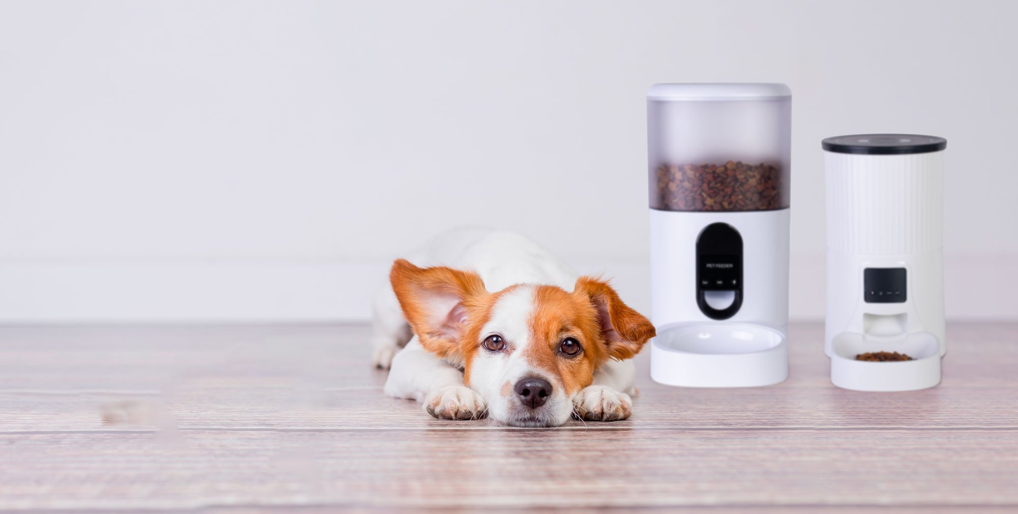 Automatic Feeders vs. Smart Feeders: What’s Best for Your Busy Life?